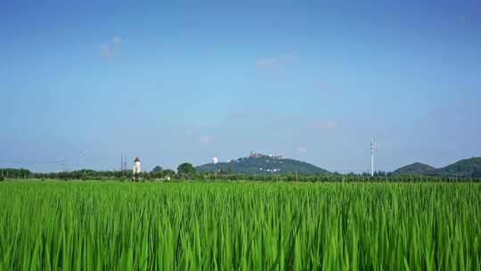 上海佘山国家森林公园远景与田园美景