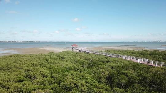 湛江特呈岛