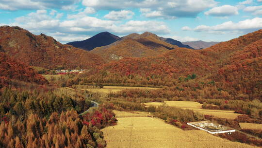 东北秋季山林公路五彩斑斓美丽景色航拍风光