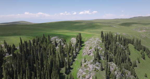 山坡草地绿树成荫的自然风光和树林森林