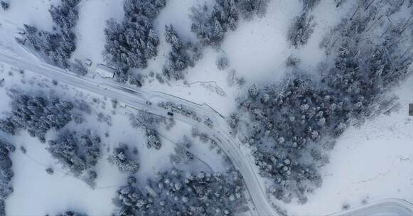 冬季雪山松树航拍