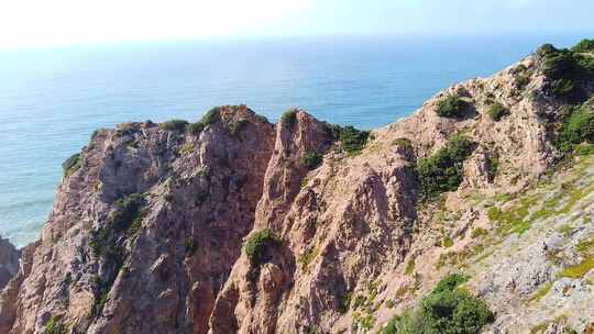 海洋自然海滩徒步旅行者