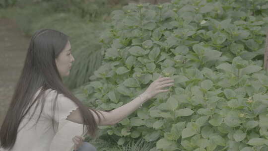 大学生女孩校园看书公园学习学校文化夏天