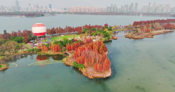 湖北武汉东湖风景区秋季风光