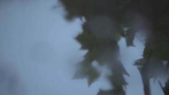 玻璃水滴雨天情绪镜头视频素材模板下载