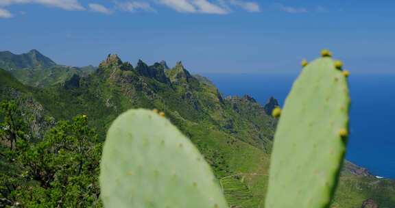 特内里费岛，加那利群岛，西班牙，山脉