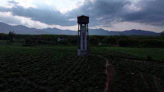 茶园水塔航拍