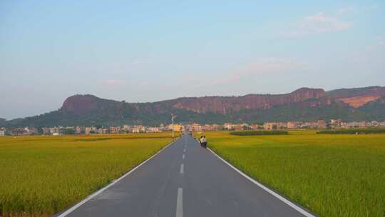 行人欣赏道路两边田园风光