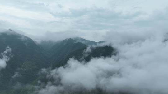 森林云海航拍山峰云雾高山云海山脉自然风光