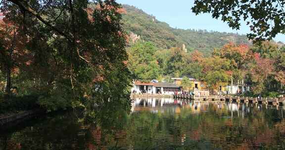 秋天阳光湖水秋叶美丽苏州天平山秋景