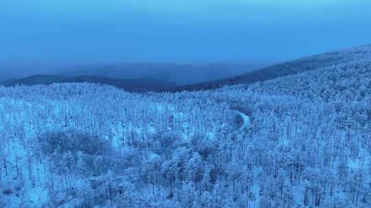 航拍林海雪原雾凇4k合集