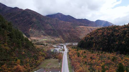 川西康定山川金黄色的秋天航拍