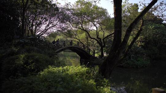 杭州西湖十景茅家埠水乡风景