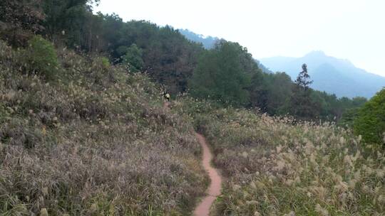 航拍重庆南山泉山步道，山脉，森林