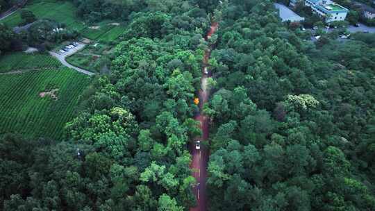 俯瞰山林路灯霓虹灯杭州城市黄昏灵隐寺