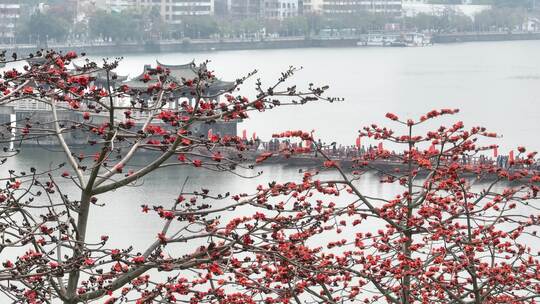 中国广东省潮州市潮州古城广济桥