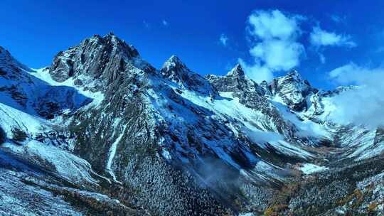 雪山下多彩树林与湖泊相映的美景