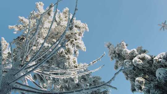 山区冬季单板滑雪3