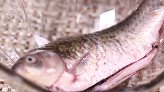 腌制鱼肉去腥加调料入味