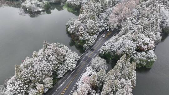 航拍西湖大雪