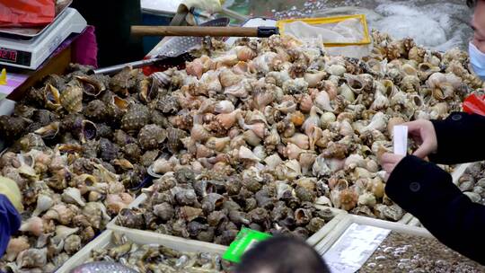 市场顾客挑选海鲜购买大螺采购海螺 含声
