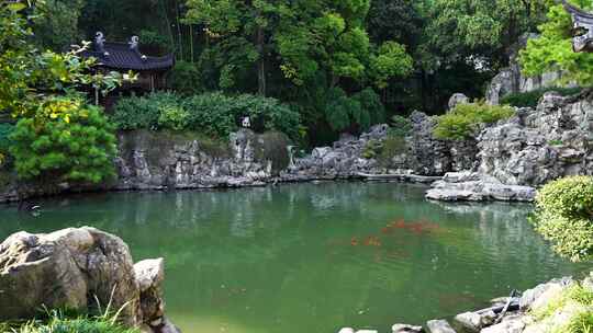 江南园林中式庭院中的池塘和假山石风光