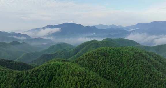 高山竹海云雾云海航拍杭州余杭百丈