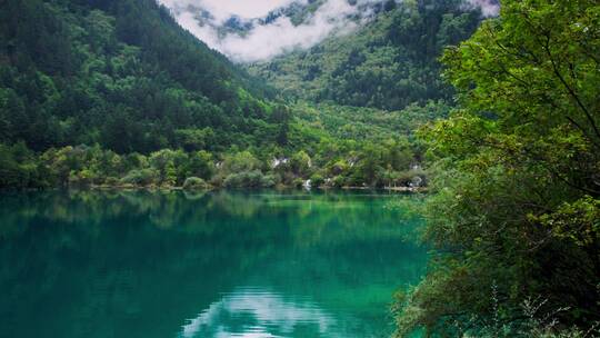 夏天九寨沟风景绿水青山