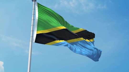 坦桑尼亚现实主义旗帜