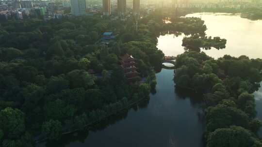 湖北荆州城市湿地逆光4K航拍