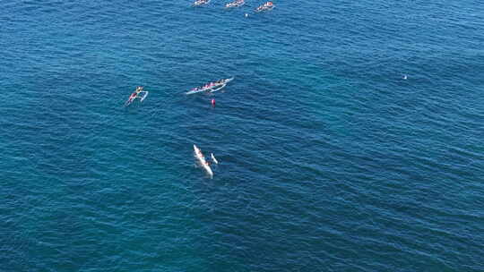 运动队在传统夏威夷独木舟上比赛的鸟瞰图