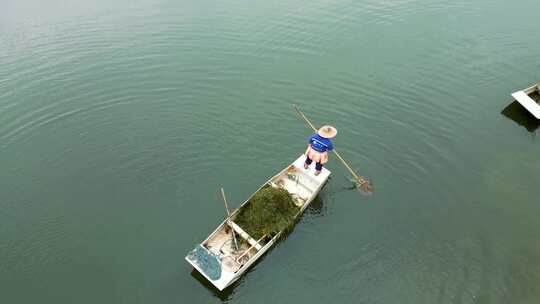 清理河道 河道治理 水草清理 4K