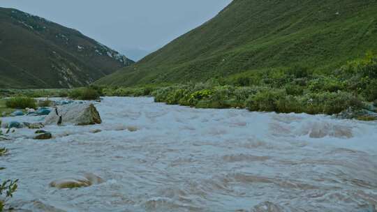 高清实拍河水小溪流水