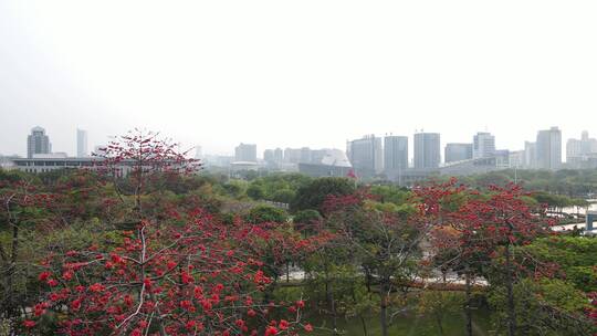 春天里花开的城市