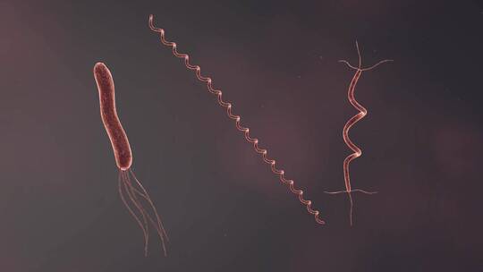 医学病原体病毒病原体病菌细菌医学三维动画