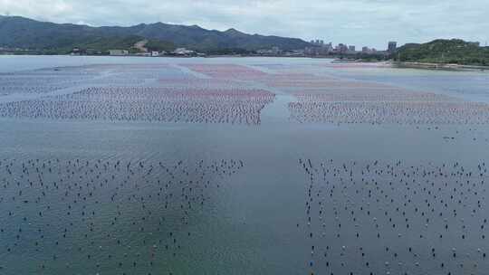 渔民海上海鲜养殖水产航拍