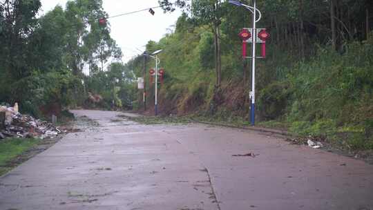 台风过后的路面狂风暴雨后的公路树林吹断树