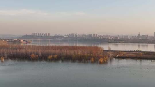 山西平陆大天鹅景区