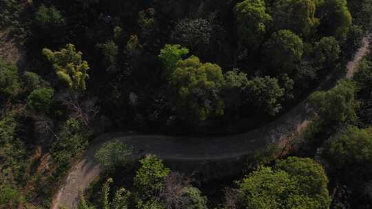 森林道路汽车行驶