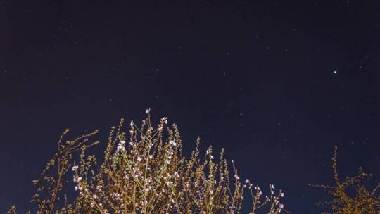 仰望夜晚的星空