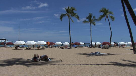 海滩上的太阳伞景观