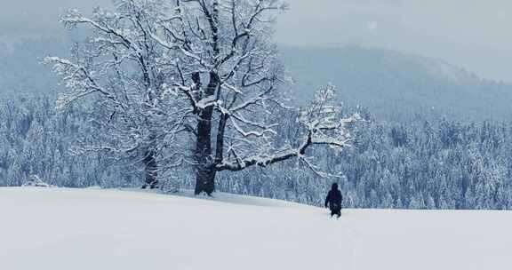 人，雪，冬天，寒冷