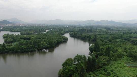 航拍浙江绍兴诸暨白塔湖湿地公园航拍