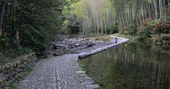 宁静的山野竹林 浙东小九寨