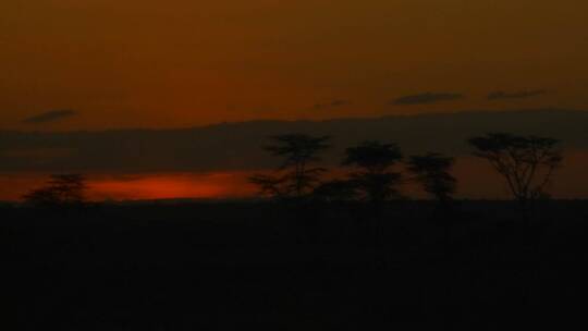 非洲平原上美丽的日出