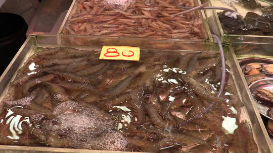 农贸市场里的海鲜产品虾视频素材模板下载
