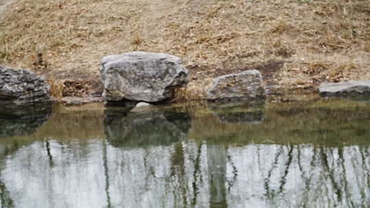 水边岩石与倒影景观