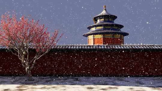 故宫 历史 北京 历史 文化视频素材模板下载