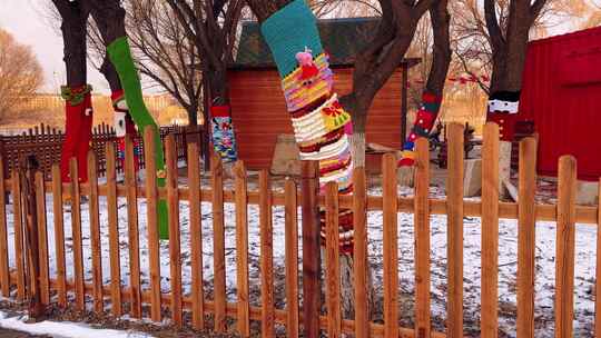 冬天 公园 节日 冰雪 旅行 节日