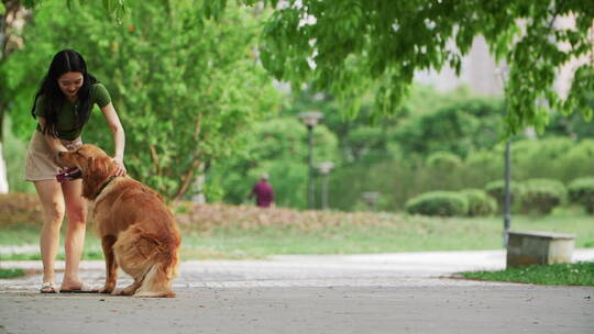 美女和金毛犬在夏天公园里玩耍